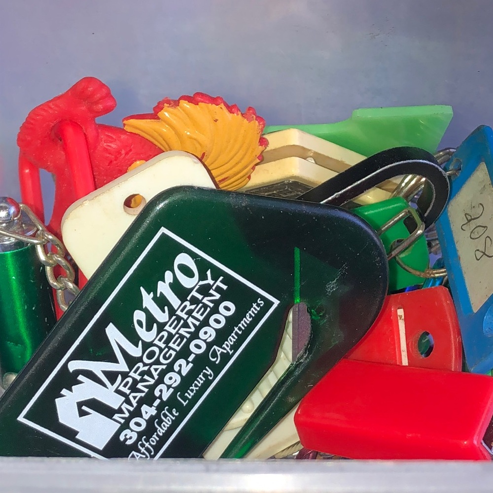 Assorted Keychains Collection - image 2